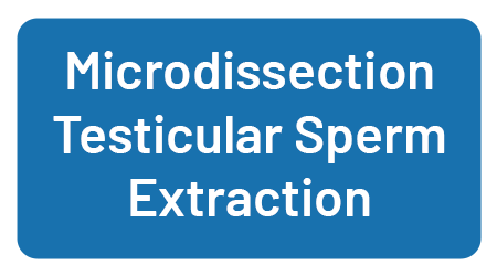 Microdissection Testicular Sperm Extraction, Dr. Matt Coward